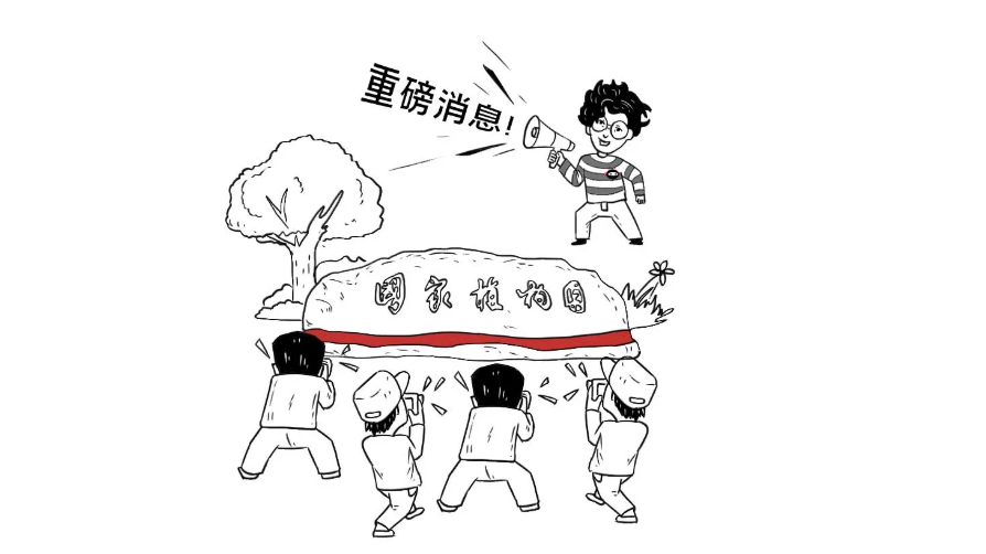 巨魔芋、千岁兰、海椰子……这些奇葩植物不用出国也能看