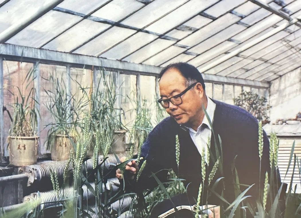 与土地的生命共振 | 三位农业科学家的奋斗故事
