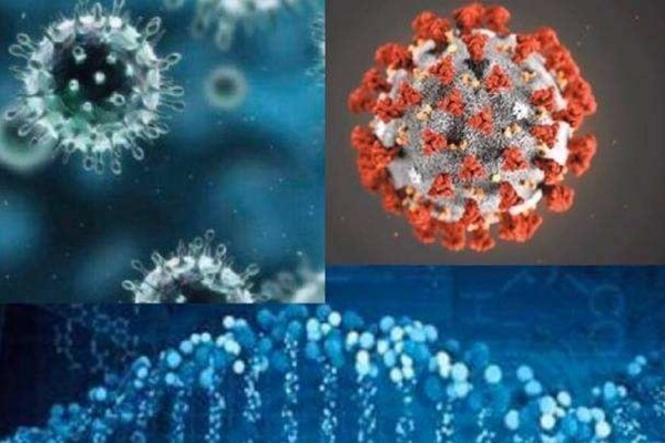 世卫组织：新冠病毒与流感病毒有7大区别