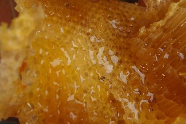 “野生蜂蜜”真的更营养吗？
