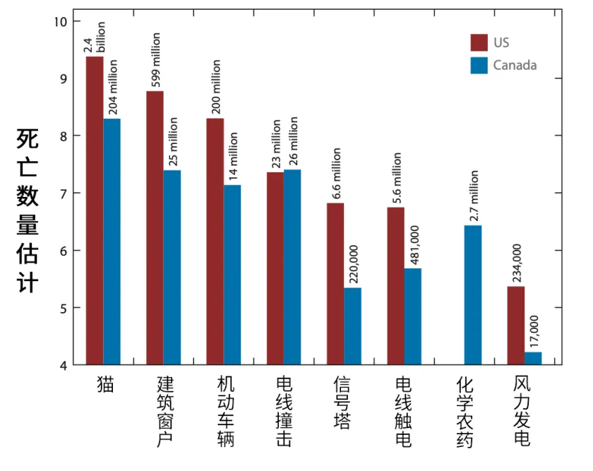 天气越好，玻璃杀死越多的小鸟