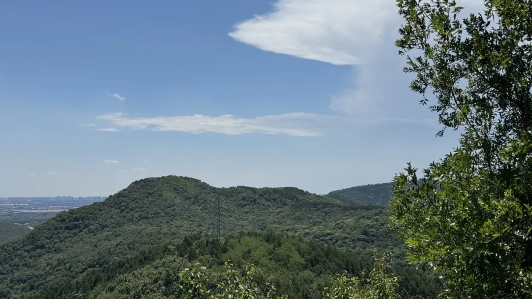 国家二级保护动物首现百望山，还是“攀岩高手”——