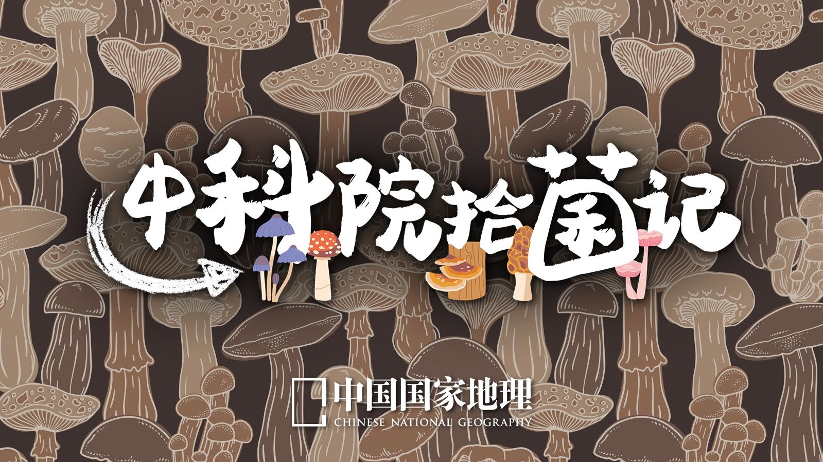 跟中科院老师采集真菌标本是什么体验？