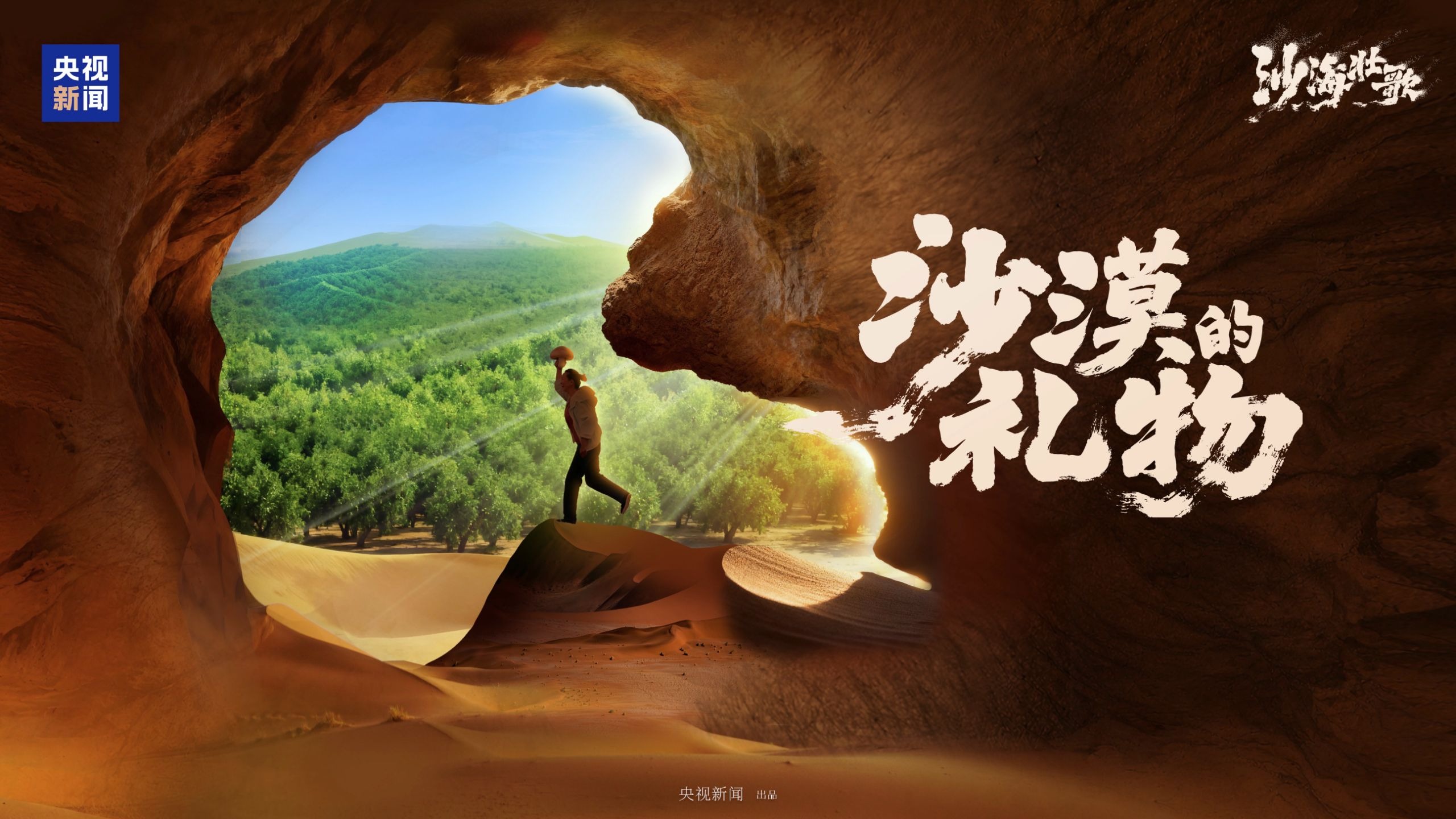【微纪录片】一朵蘑菇背后的十年