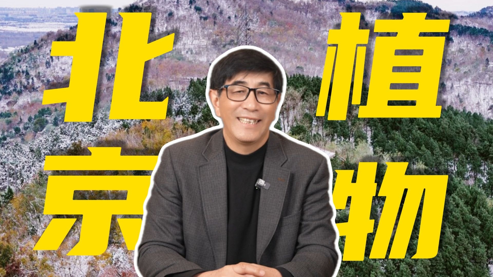路边的“野花”请不要采！教授带你解锁北京植物与生态环境现状……
