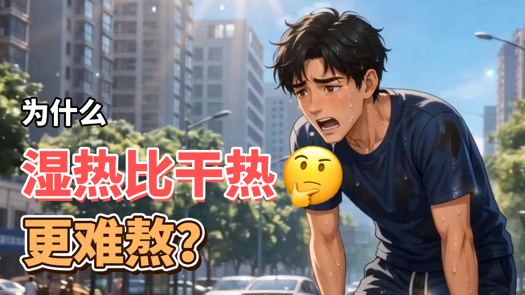 干热湿热