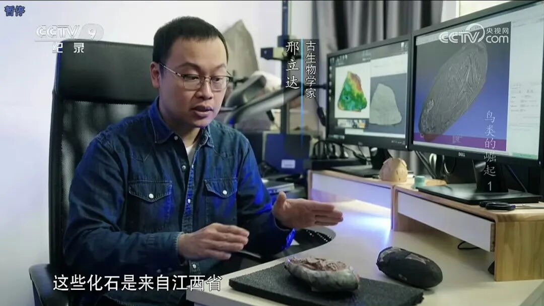 我在北京做科普 | 寻迹亿万年：从“恐龙迷”到青年学者的跨界与坚守