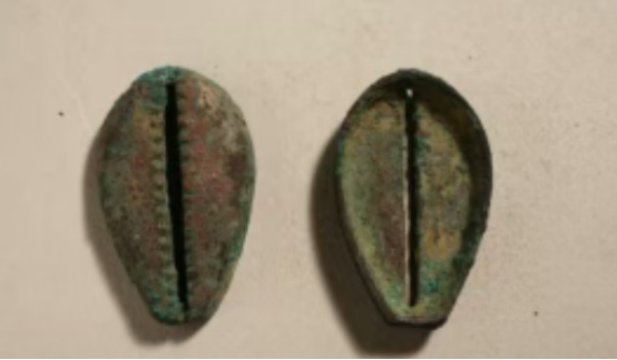 小小金属“贝壳”，竟然是比“钱”更早的“钱”