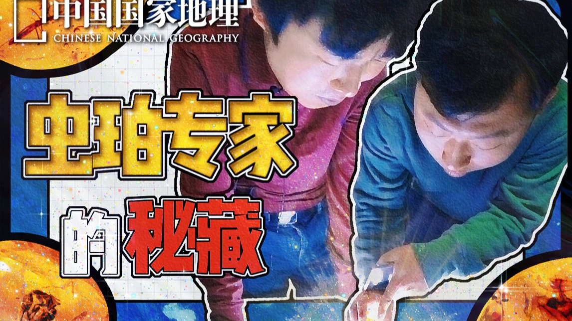 虫珀专家的秘藏珍宝