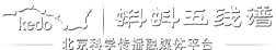 蝌蚪五线谱