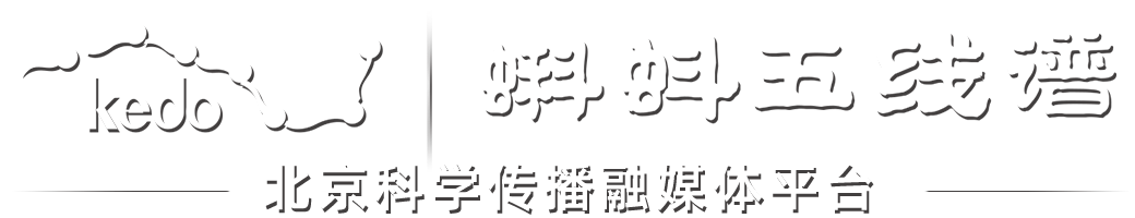 蝌蚪五线谱