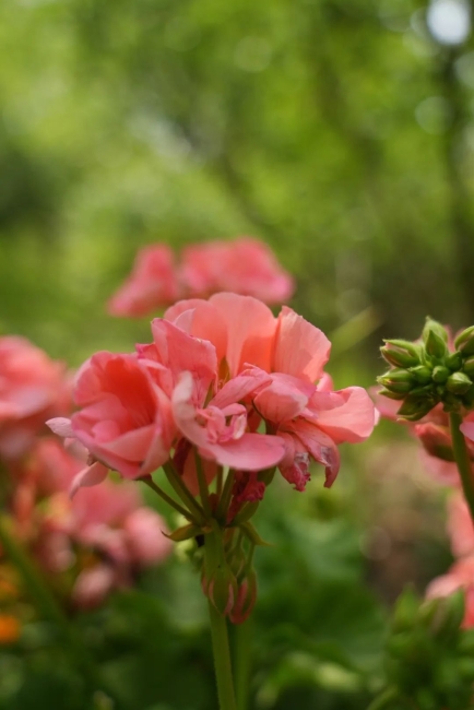 5b4cedef44db39eeb6433b7852577cc.jpg