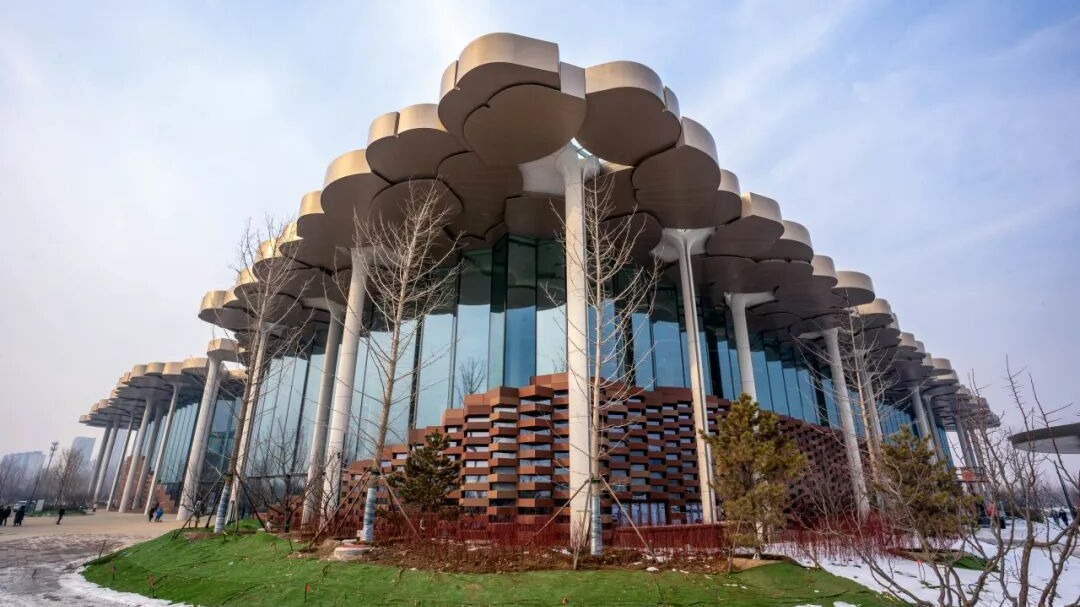 北京城市图书馆：144棵“银杏树”支撑起都市中的“森林书苑”丨塑强设计领先优势