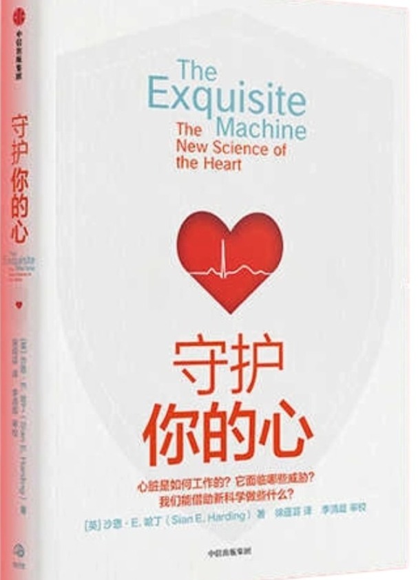 《守护你的心》