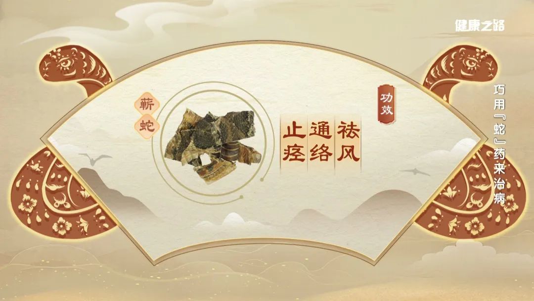 细数与“蛇”有关的中药，内服、外用功效强！