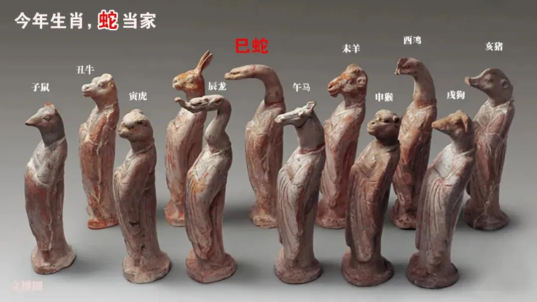 从文物看蛇的传统文化寓意