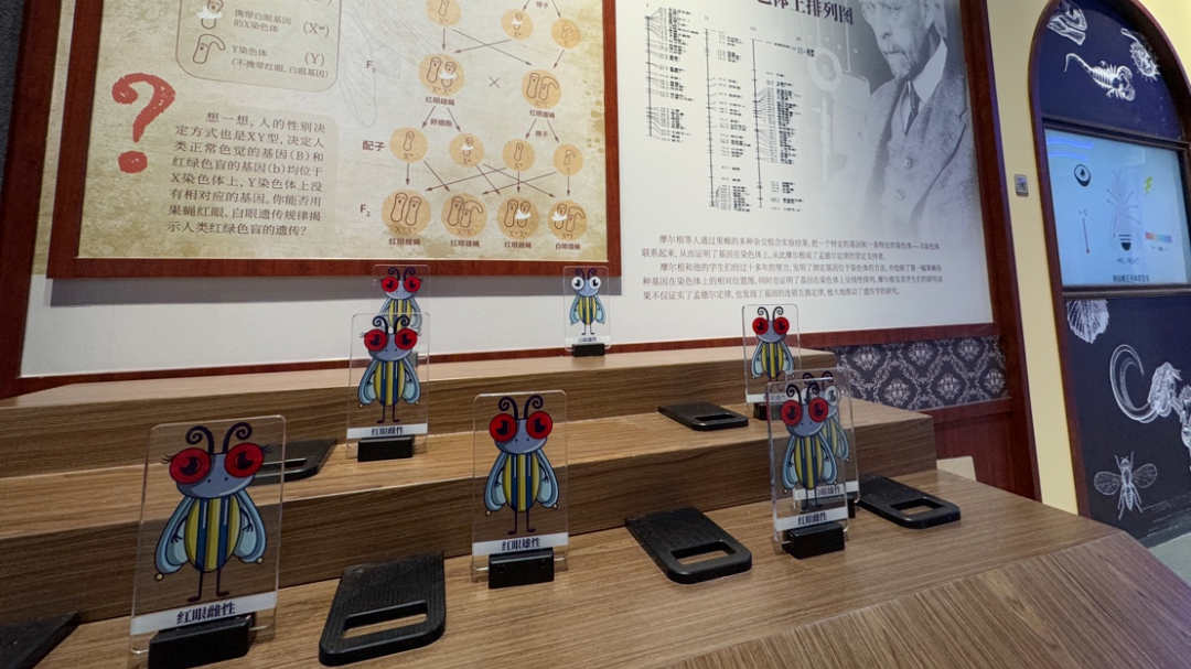 科学时光机：重启摩尔根的实验室！带你破解遗传的神秘线索
