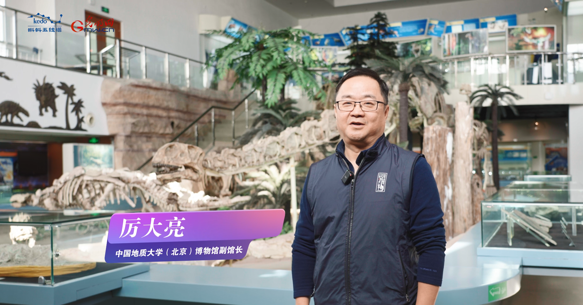 高校博物馆奇遇记 | 石头也能说话？这里藏着许多地球的秘密→