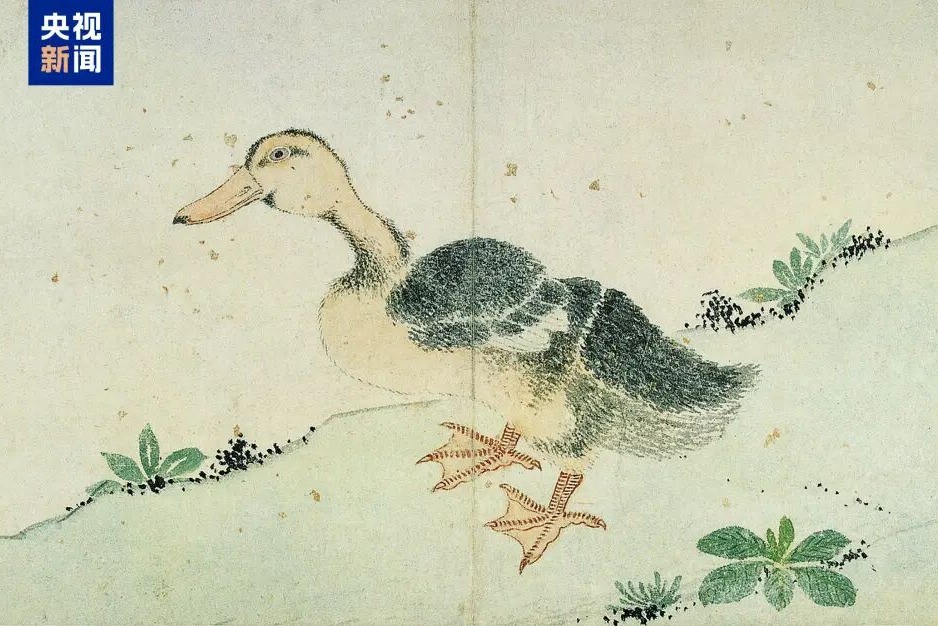 又到了追花的季节 跟着沈周打卡苏州的春天