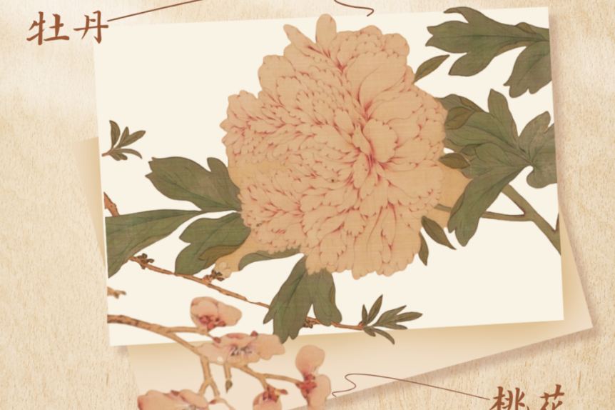 一路繁花！打卡明代“赏花步道”