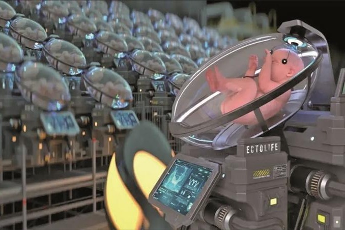 在母体外，创造一个“生命摇篮”