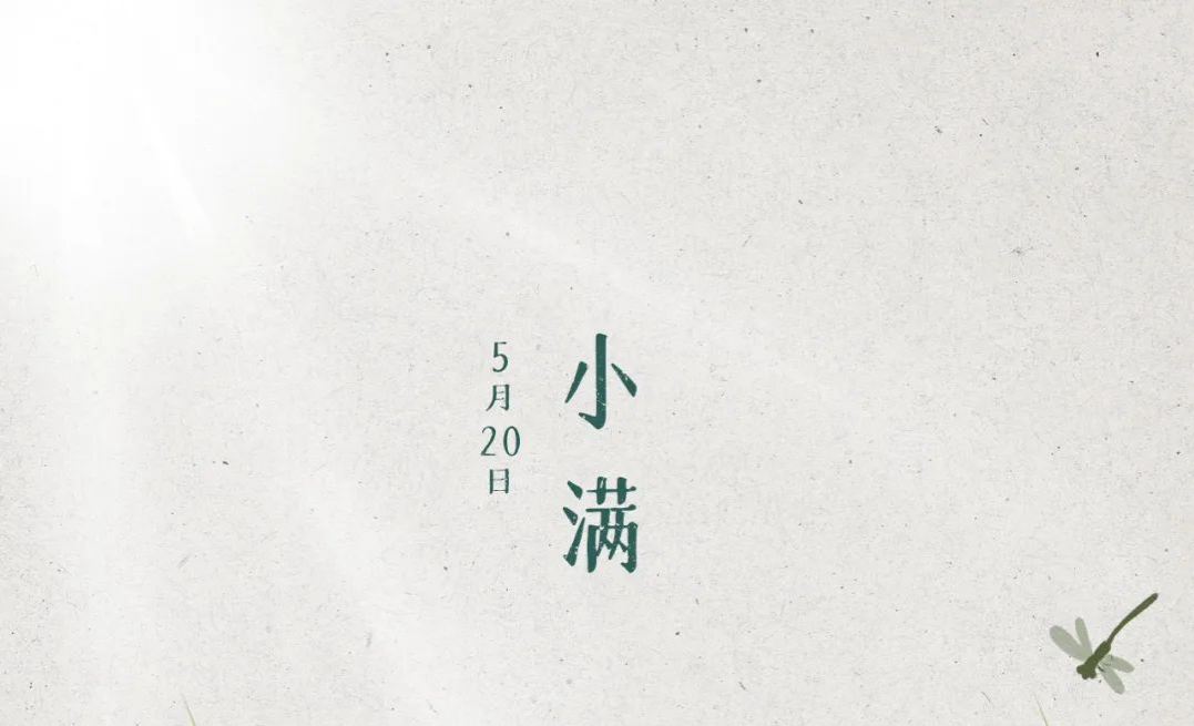 今日小满：晴日暖风生麦气