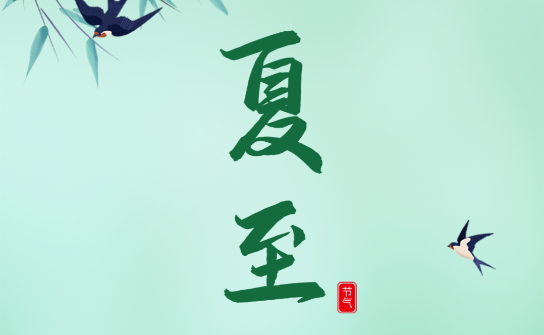 今日夏至：田间蝉鸣响，最是时光长
