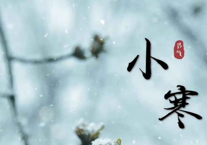 今日小寒，盼雪迎春