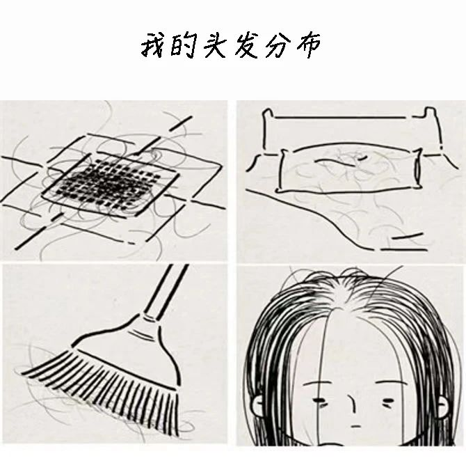 每天洗头容易掉头发？