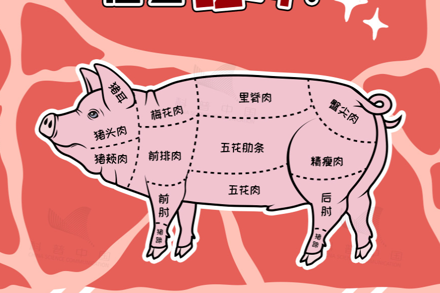 这几个部位的肉，千万别吃（不只是淋巴）