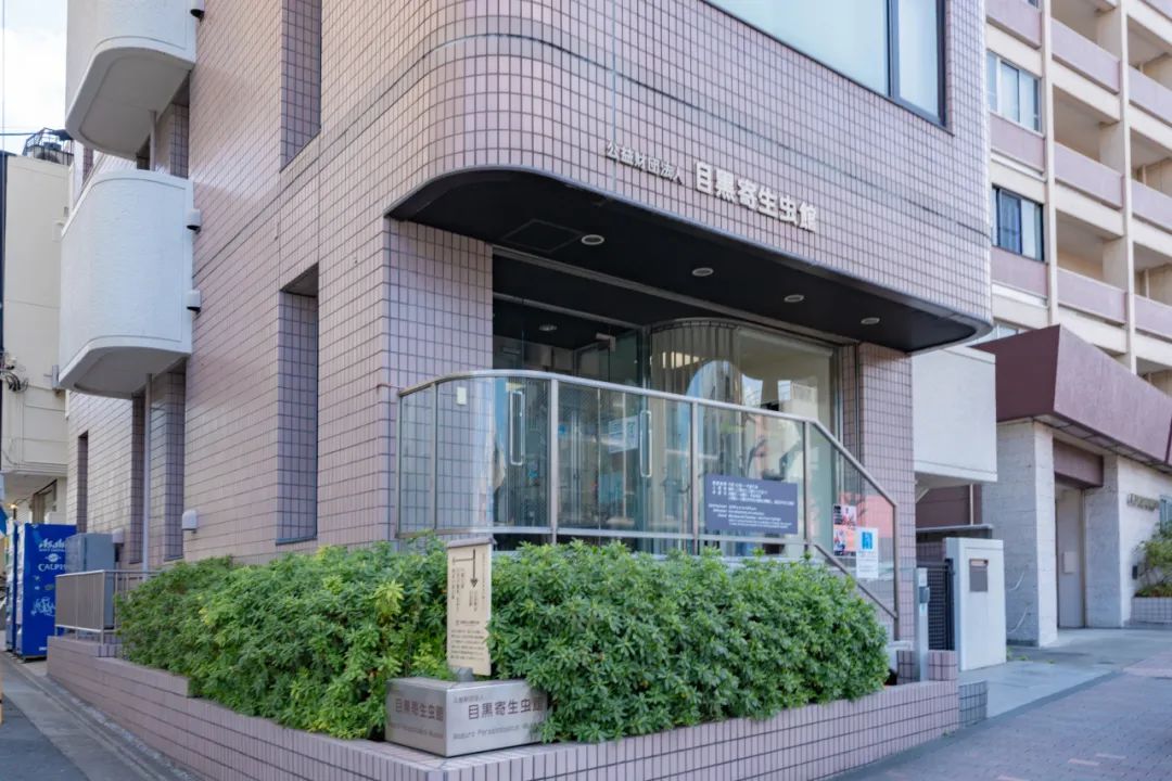 这个超级炸裂的博物馆，你看一个展品就滋儿哇一声