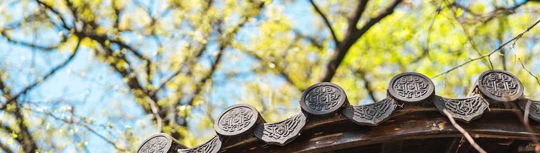 立夏｜从古老智慧中，寻找绿色生活的当代答案