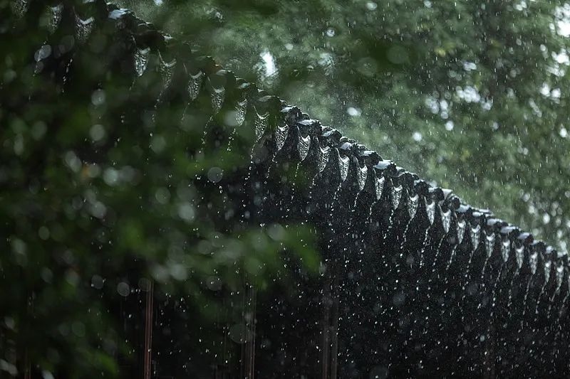 立夏丨夏序初开，万象呈新