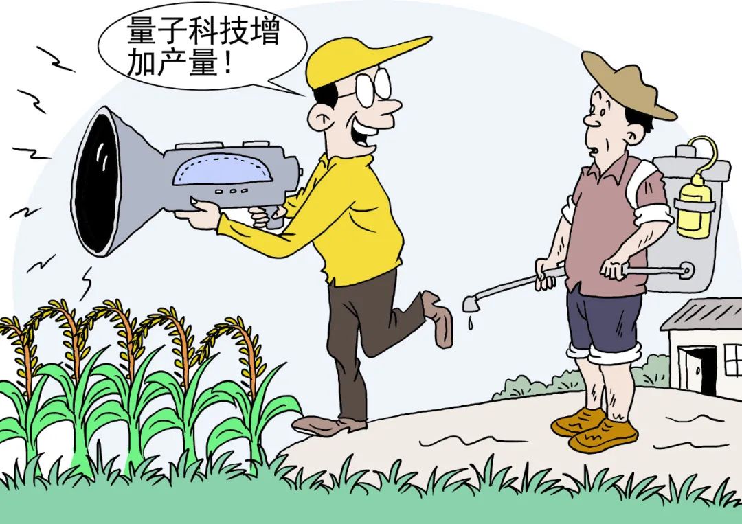 别让速成式“专家”坑农害农