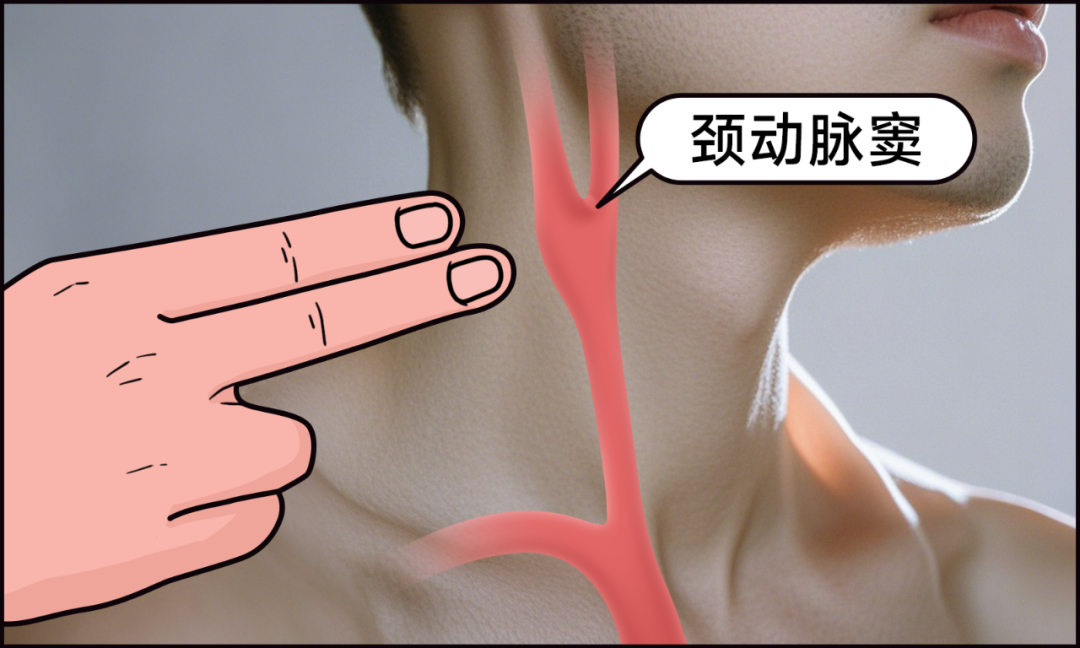 真心建议：别再随便按脖子了