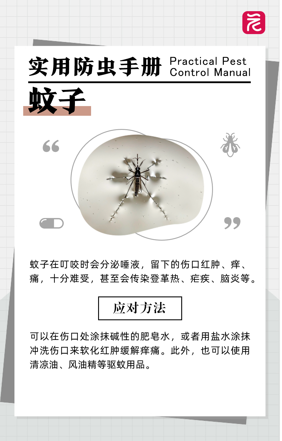 24166c0eccdb7c5b0c698a04df0c561e.png