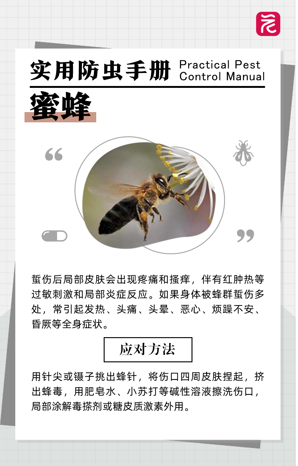 8e2009ff1185bf32f05db9546ab672a1.png