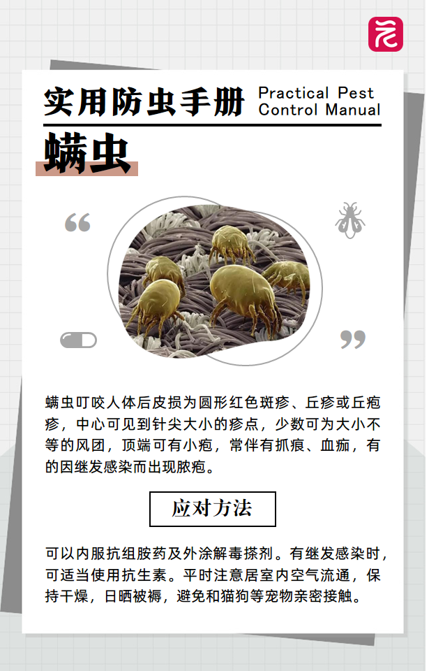 fae642e67310de271627f10ab3365ce2.png
