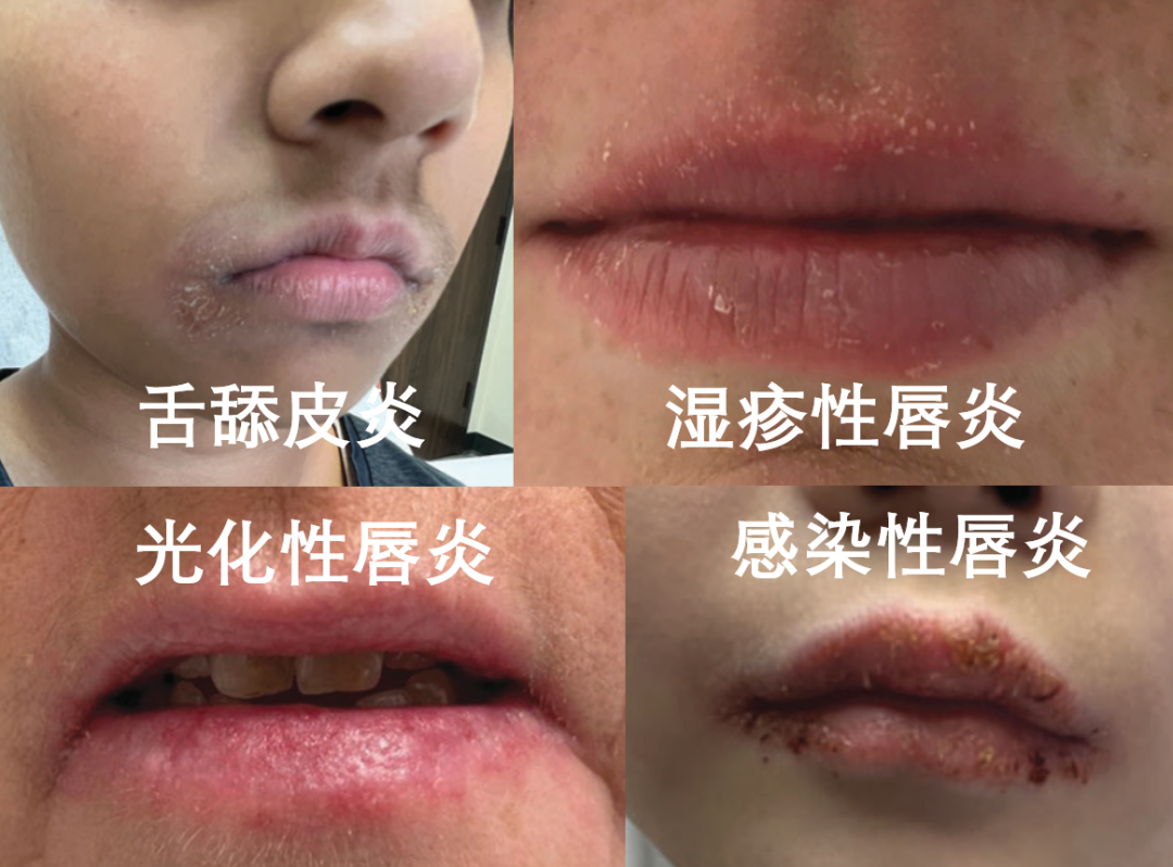 蝌蚪五线谱 - 专注做权威、有趣、贴近生活的互联网科学传播