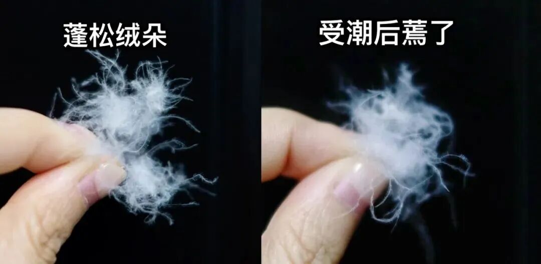 保暖不输羽绒服的好东西，很多人竟然不知道