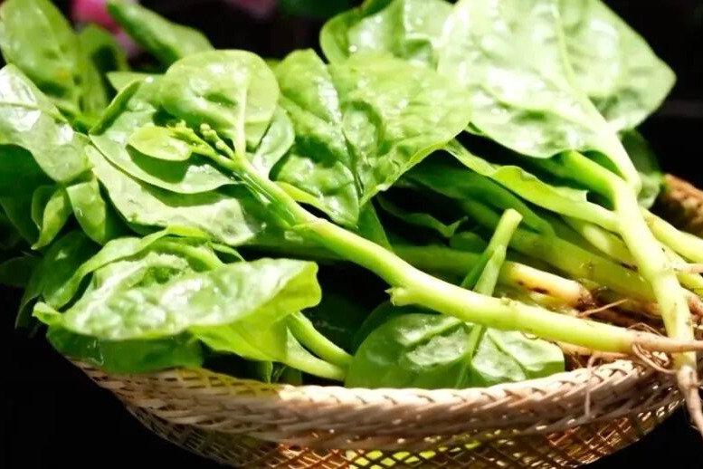 这种蔬菜钙含量超牛奶！冬天常吃，脾胃好了，血脂、血糖稳了，还有助于延缓衰老