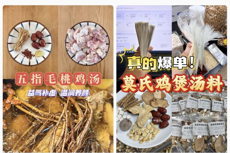 五指毛桃煲汤怎么吃？搭配有讲究，寒性食材别同炖
