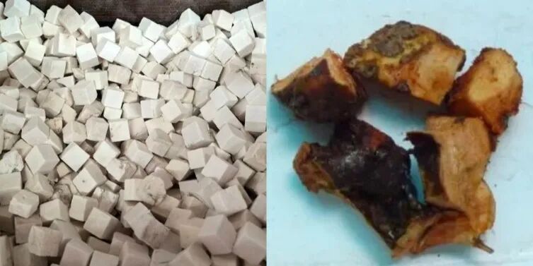 莫氏鸡煲，煲了什么稀奇的东西？