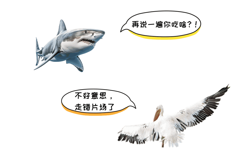 嘴扫一大片，鹈鹕怎么又双叒叕吃同事了？