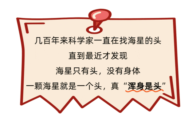 它告诉我们，进化到浑身是头也还行……