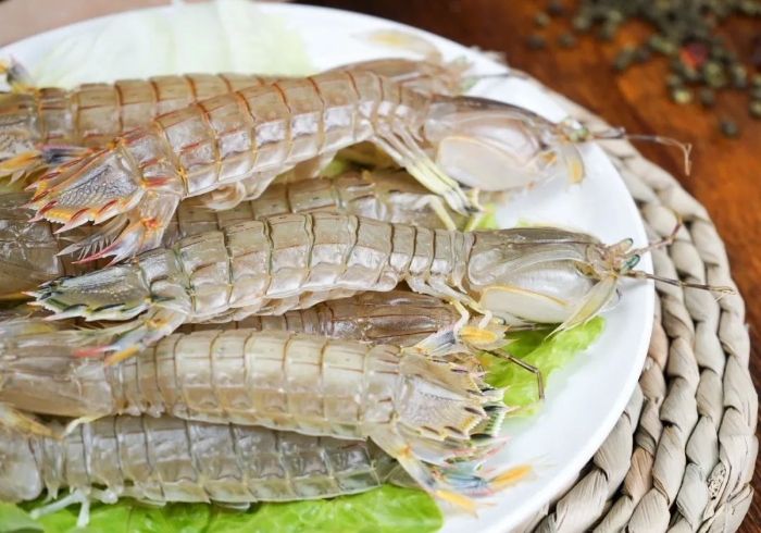 什么？皮皮虾、磷虾、丰年虾都不是虾？！