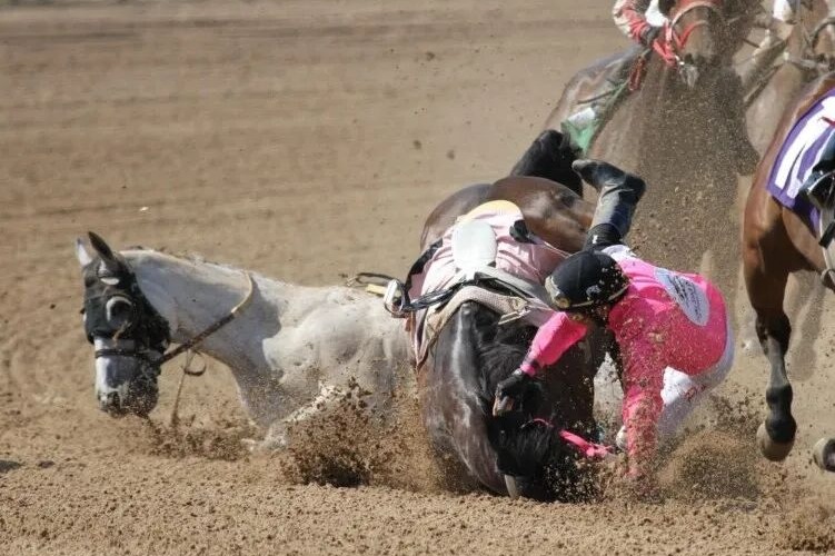 马一旦骨折，真的就“没救了”吗？