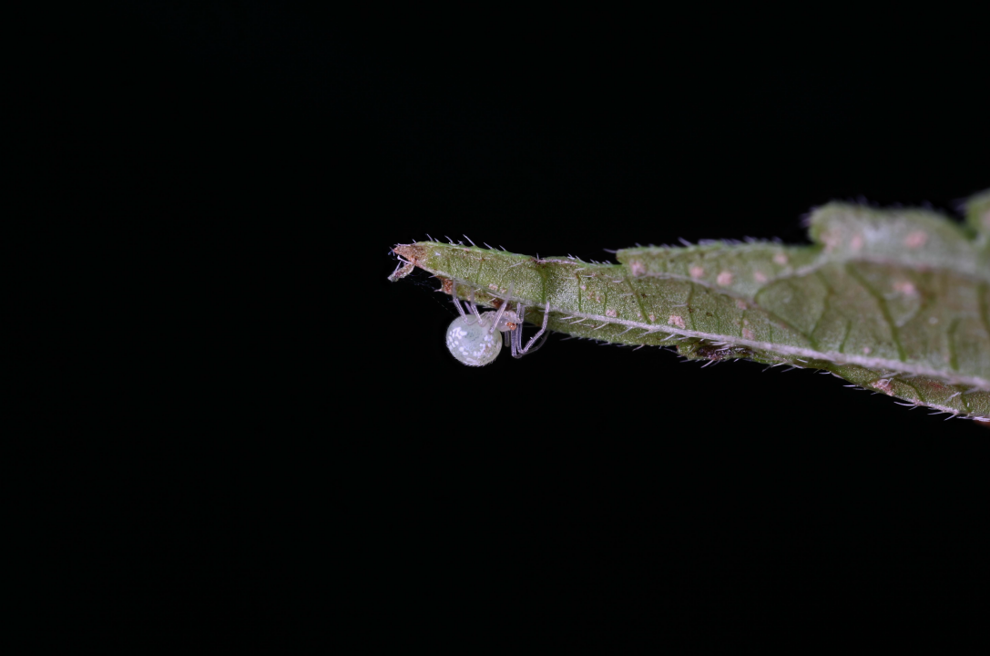 image.gif