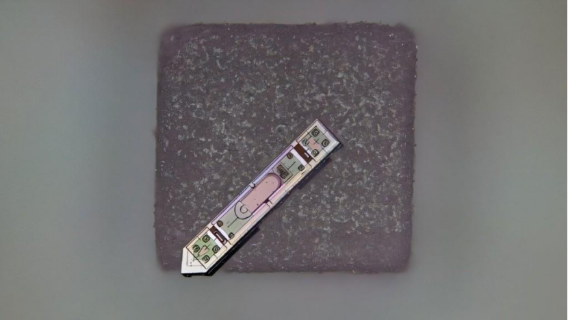 无感监测大脑：微型植入物为脑科学研究开辟新路径