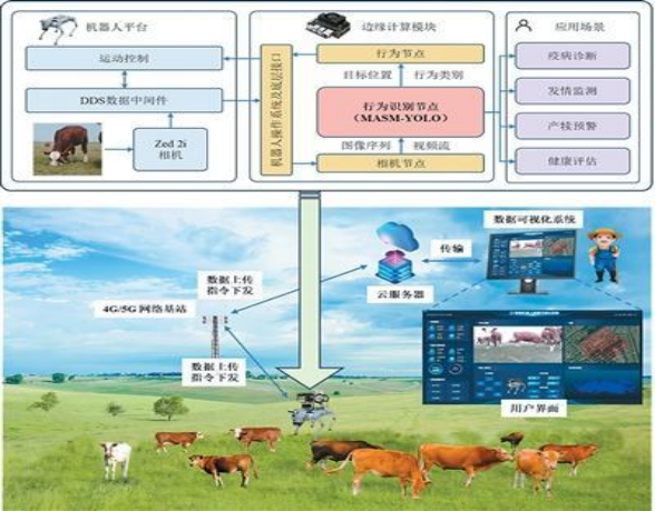 为机器人装上“慧眼”，智能模型精准识别草原肉牛行为